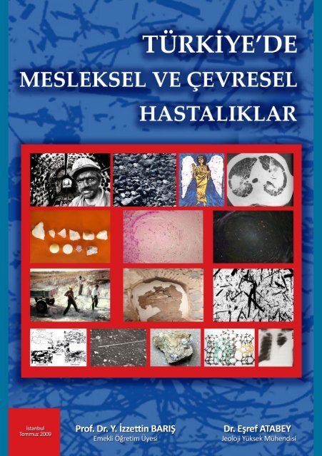 Turkiye De Mesleksel Ve Cevresel Hastaliklar