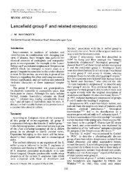 Lancefield group F and related streptococci - Journal of Medical ...