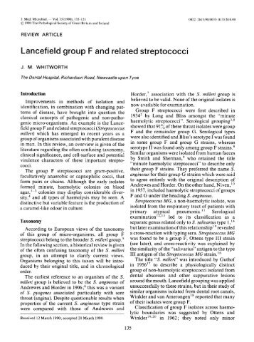 Lancefield group F and related streptococci - Journal of Medical ...