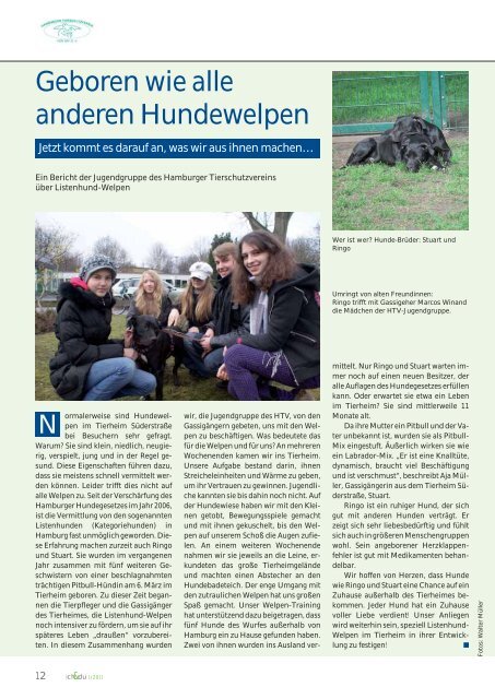 Hamburger Hundegesetz: Eine unverdiente Art von Gefängnisstrafe ...