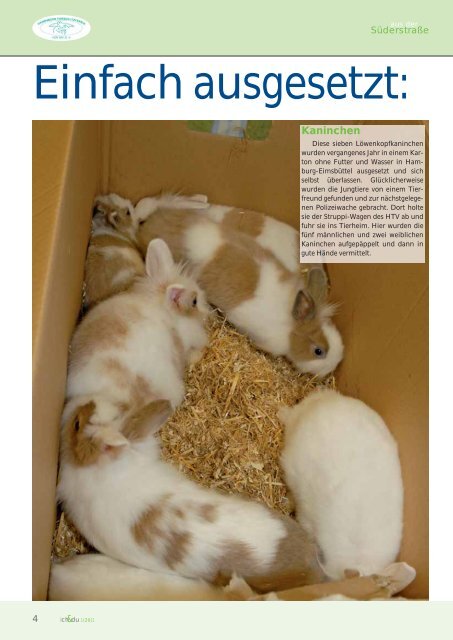 Hamburger Hundegesetz: Eine unverdiente Art von Gefängnisstrafe ...