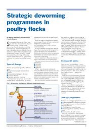 Strategic deworming programmes in poultry flocks