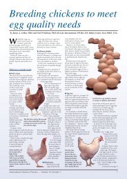 Breeding chickens to meet egg quality needs