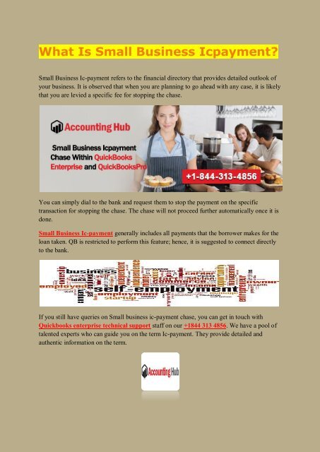 What Is Small Business Icpayment 1844 313 4856