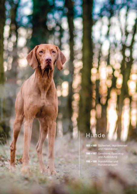 Hauptner Jagd Katalog 2018