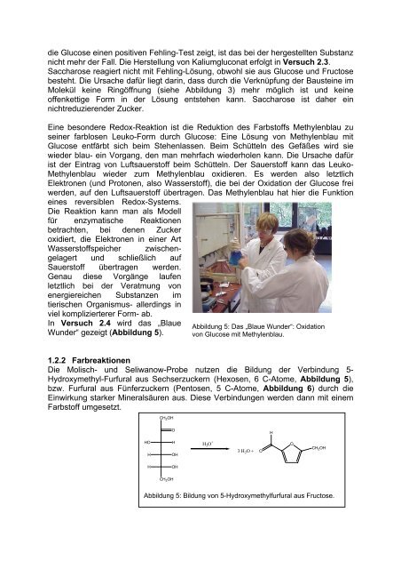 Kohlenhydrate