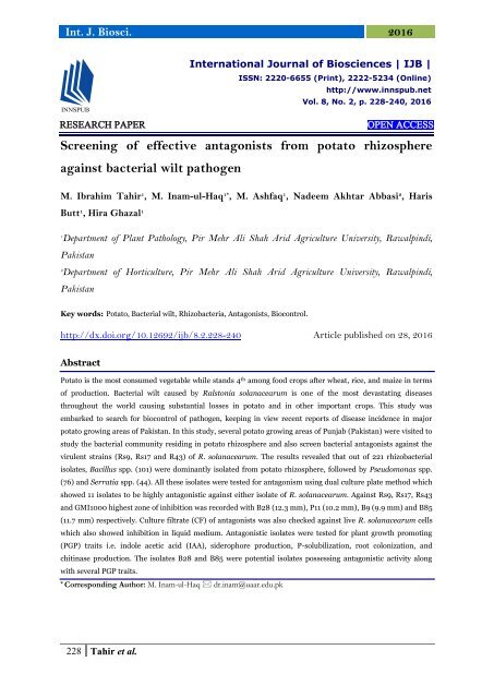 Screening of effective antagonists from potato rhizosphere against bacterial wilt pathogen