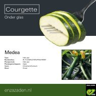 Leaflet Courgette Medea 2018