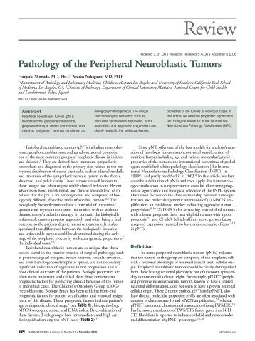 Pathology of the Peripheral Neuroblastic Tumors - LabMedicine