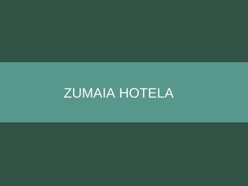 ZUMAIA HOTELA (1)