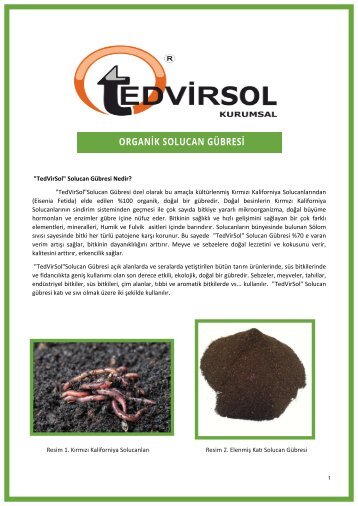 TEDVİRSOL KATALOG