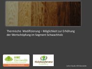 Thermoholz: + Eigenschaftsprofil - 2. Brandenburger Holzkonferenz