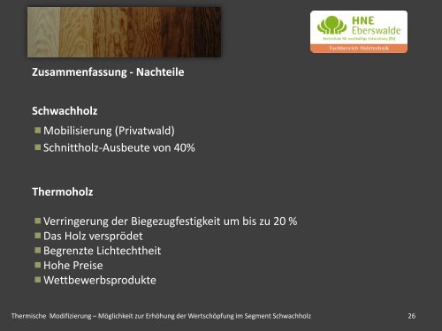 Thermoholz: + Eigenschaftsprofil - 2. Brandenburger Holzkonferenz