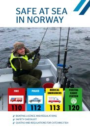 SAFE AT SEA IN NORWAY: INFORMATION FOR TOURISTS 2018