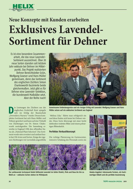 Exklusives Lavendel- Sortiment für Dehner - Helix Pflanzen