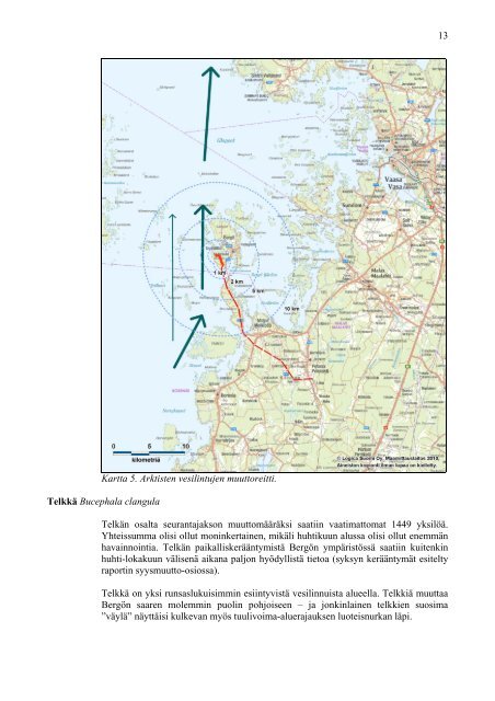 BERGÖN TUULIVOIMAHANKKEEN LINNUSTOSELVITYS - Fortum