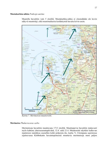 BERGÖN TUULIVOIMAHANKKEEN LINNUSTOSELVITYS - Fortum