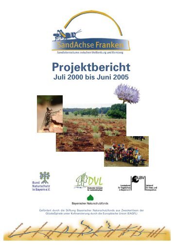 Projektbericht Juli 2000 bis Juni 2005 - Projekt SandAchse