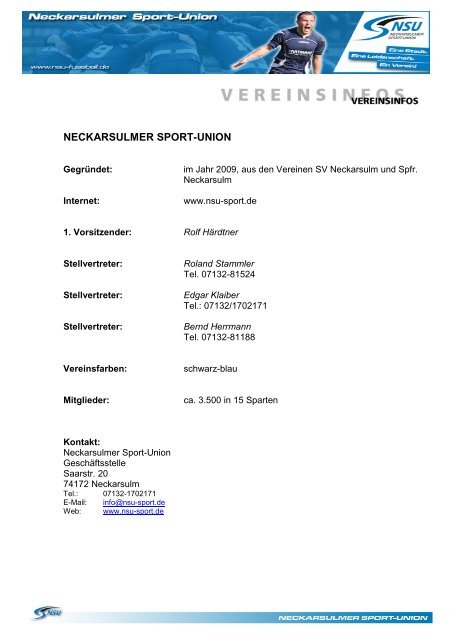 landesliga-saison 2012/13 - Neckarsulmer Sport-Union