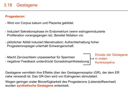 Endokrinpharmakologie I - Institut für Pharmakologie und Toxikologie