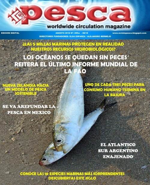 Redes de pesca biodegradables - Revista Aire Libre