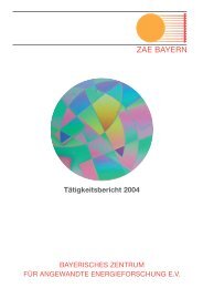 Tätigkeitsbericht 2004 - ZAE Bayern