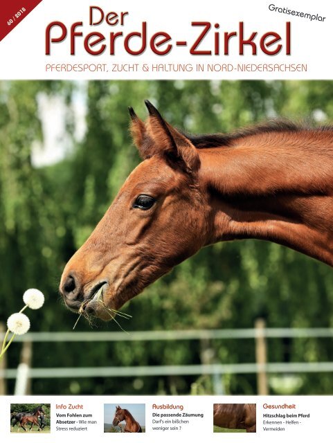 Pferde Zirkel 60 2018