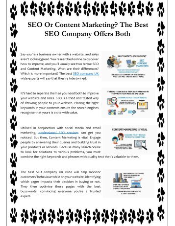 SEO Or Content Marketing The Best SEO Company Offers Both