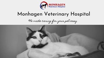 Best Animal Hospital in Middletown