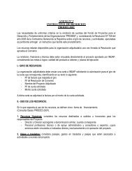 ANEXO Nº 2 INSTRUCTIVO DE RENDICION PRODES 2007 ... - Indap