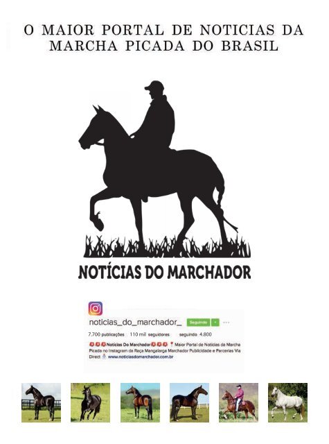 Revista TOP Marchador - Especial Marcha Picada #02