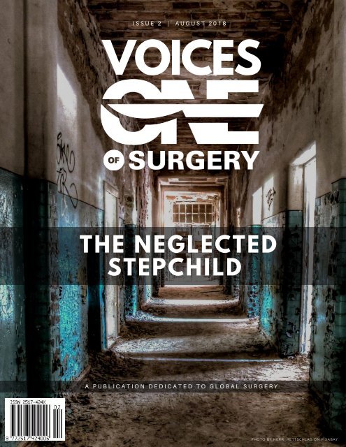 The Neglected Stepchild - Voices of One Surgery - Issue 2: August 2018