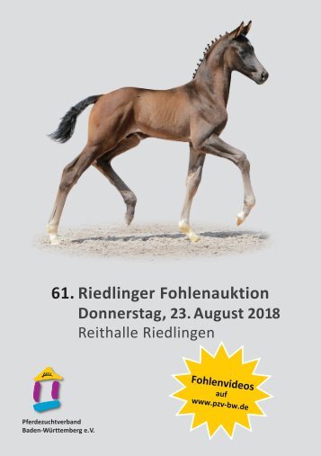 61. Riedlinger Fohlenauktion am 23. August 2018