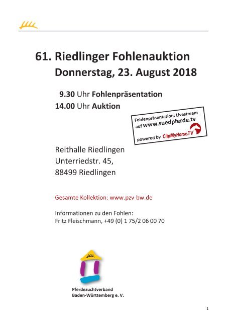 61. Riedlinger Fohlenauktion am 23. August 2018