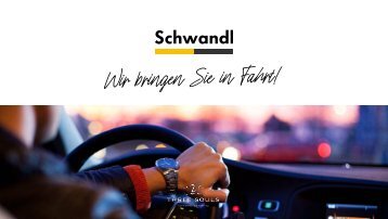Schwandl-Präsentation-V3