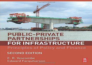 PDF Public-Private Partnerships: Principles of Policy and Finance | Download file