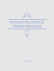 reglas de aplicación de normas procesales