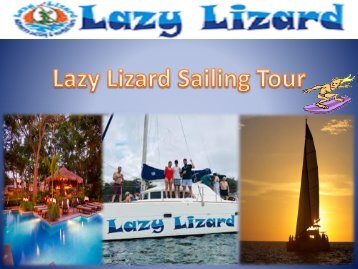 Things to do in Flamingo Beach Tours - Lazy Lizard Sailing