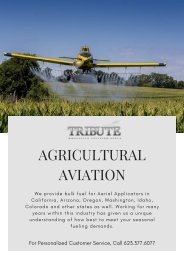 Service Aviation Service Aviation