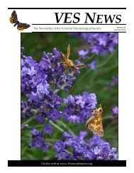 VES News - Vermont Entomological Society