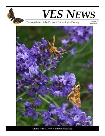 VES News - Vermont Entomological Society