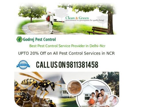 Godrej Pest Control Call Us 9811381458 