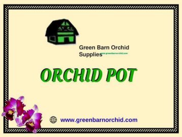 Buy Orchid Pot in Florida at best price-Green Barn Orchid Supplies