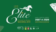 I Leilão Online Elite da Marcha Picada Nacional 2018