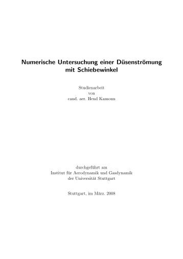 Numerische Untersuchung einer Düsenströmung mit Schiebewinkel