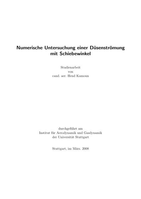 Numerische Untersuchung einer Düsenströmung mit Schiebewinkel