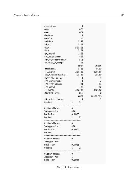 Numerische Untersuchung einer Düsenströmung mit Schiebewinkel