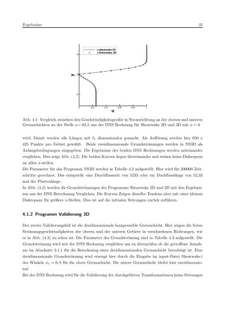 Numerische Untersuchung einer Düsenströmung mit Schiebewinkel