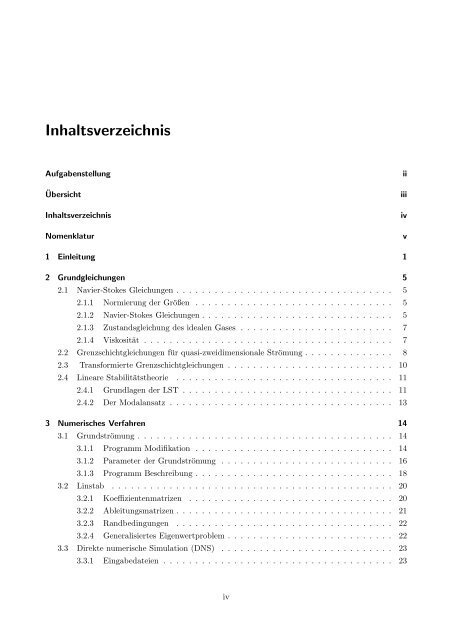 Numerische Untersuchung einer Düsenströmung mit Schiebewinkel