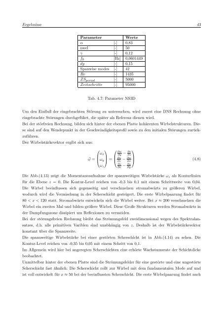 Numerische Untersuchung einer Düsenströmung mit Schiebewinkel